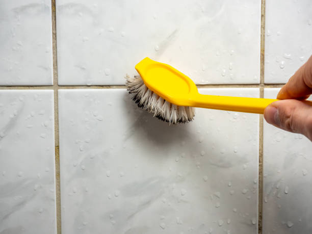 Best Mold Remediation for Schools in Frankfort, OH
