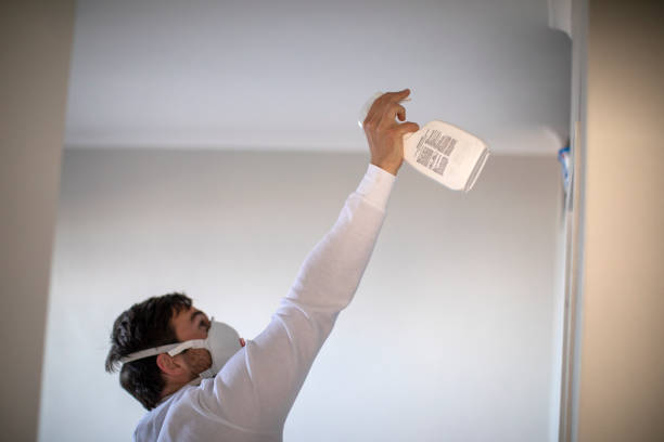 Best Emergency Mold Remediation in Frankfort, OH