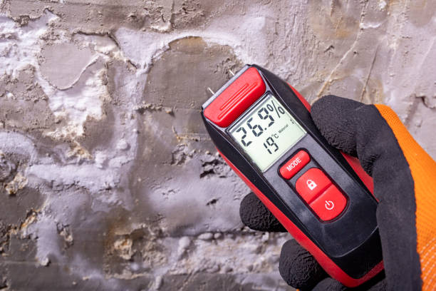 Best Basement Mold Remediation in Frankfort, OH
