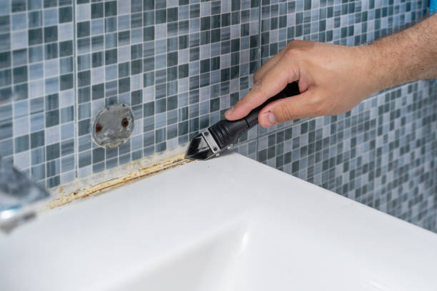 Best Industrial Mold Remediation in Frankfort, OH